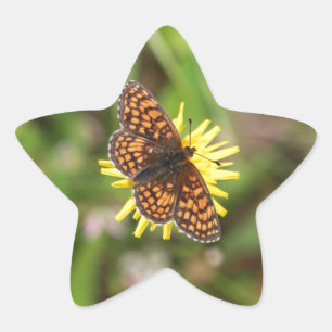Schmetterling - Schön! Stern-Aufkleber