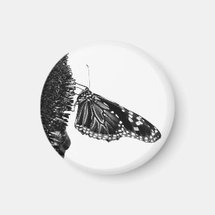 Schmetterling schüchtern blacq magnet