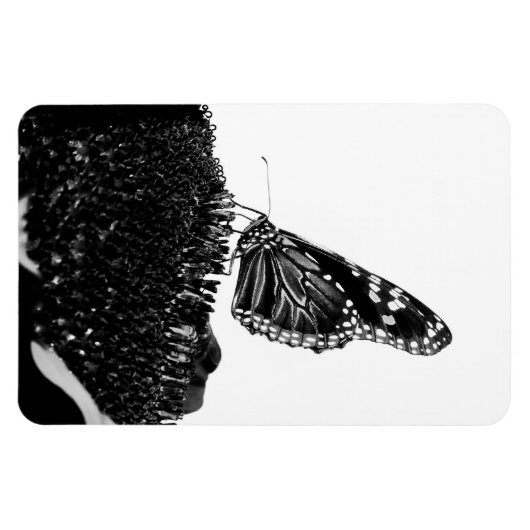 Schmetterling schüchtern blacq magnet (Horizontal)