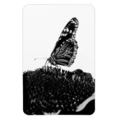 Schmetterling schüchtern blacq magnet (Vertikal)
