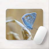 Schmetterling, Schwarz, Insekt Mousepad (Mit Mouse)