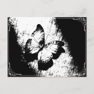 Schmetterling Schwarz-Weiß Postkarte
