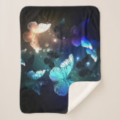 Schmetterling Sherpadecke (Vorderseite)