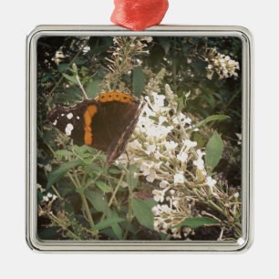 Schmetterling Silbernes Ornament