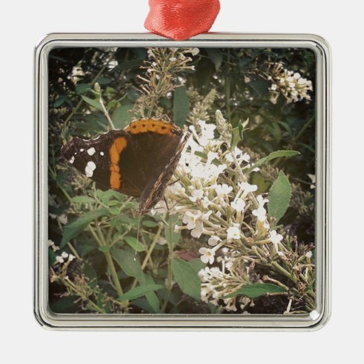 Schmetterling Silbernes Ornament (Vorne)