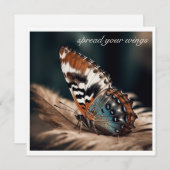 Schmetterling sitzend auf einer weichen Feder (Vorne/Hinten)