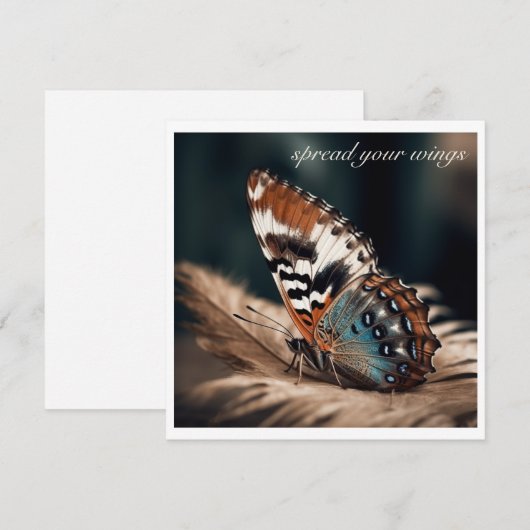 Schmetterling sitzend auf einer weichen Feder (Vorne/Hinten)