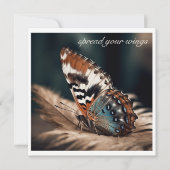 Schmetterling sitzend auf einer weichen Feder (Vorderseite)