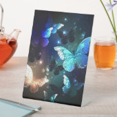 Schmetterling Sockelschild (In Situ)