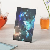 Schmetterling Sockelschild (In SItu)