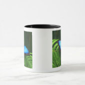 Schmetterling Tasse (Zentrum)