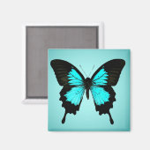 Schmetterling - türkisblau und schwarz magnet (Vorderseite/Rückseite)