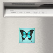 Schmetterling - türkisblau und schwarz magnet (In Situ (Geschirrspüler))