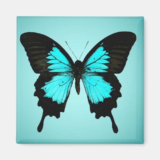 Schmetterling - türkisblau und schwarz magnet (Vorne)