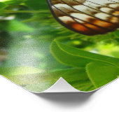 Schmetterling über Jasmine Tropical Nature Fotogra Fotodruck (Ecke)