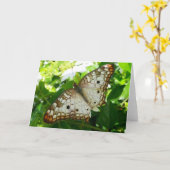 Schmetterling über Jasmine Tropical Nature Fotogra Karte (Gelbe Blume)