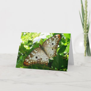 Schmetterling über Jasmine Tropical Nature Fotogra Karte