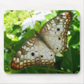 Schmetterling über Jasmine Tropical Nature Fotogra Mousepad (Vorne)