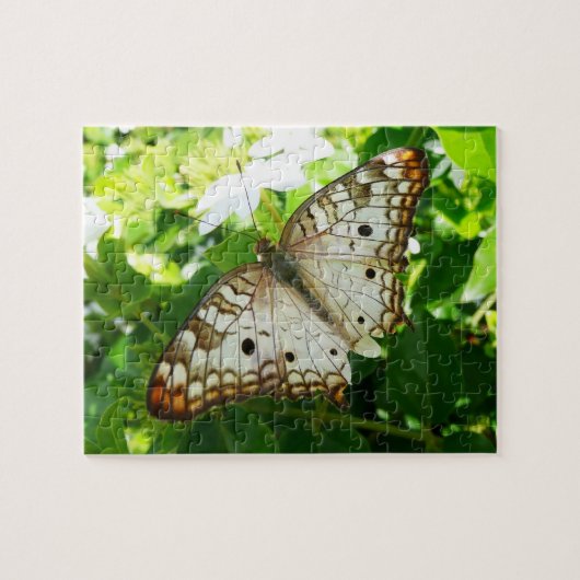 Schmetterling über Jasmine Tropical Nature Fotogra Puzzle (Horizontal)