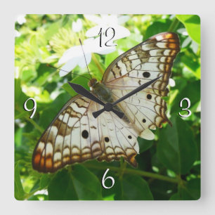 Schmetterling über Jasmine Tropical Nature Fotogra Quadratische Wanduhr