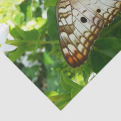 Schmetterling über Jasmine Tropical Nature Fotogra Seidenpapier (Ausschnitt)