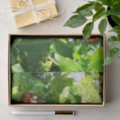 Schmetterling über Jasmine Tropical Nature Fotogra Seidenpapier (Geschenk)