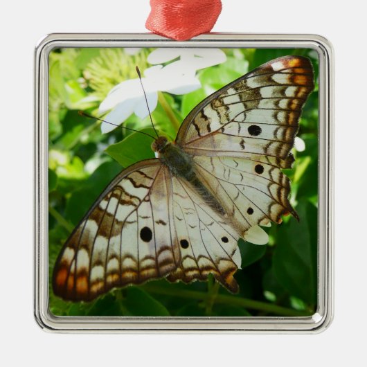 Schmetterling über Jasmine Tropical Nature Fotogra Silbernes Ornament (Vorne)