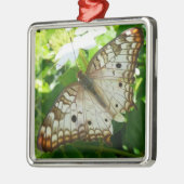 Schmetterling über Jasmine Tropical Nature Fotogra Silbernes Ornament (Links)