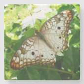 Schmetterling über Jasmine Tropical Nature Fotogra Steinuntersetzer (Vorderseite)