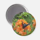 Schmetterling und Azalea Magnet (Vorderseite/Rückseite)