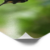 Schmetterling und Biene Fotodruck (Ecke)