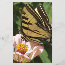 Schmetterling und Blume