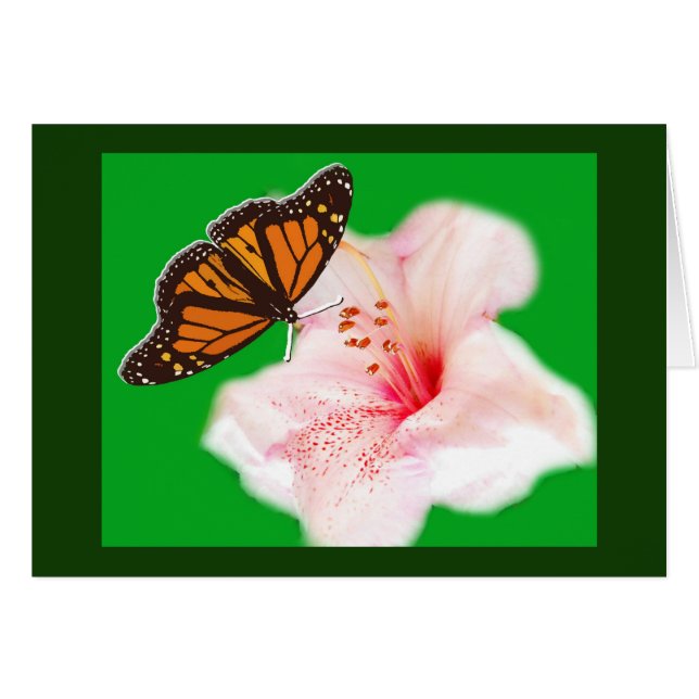 Schmetterling und Blume (Vorderseite (Horizontal))