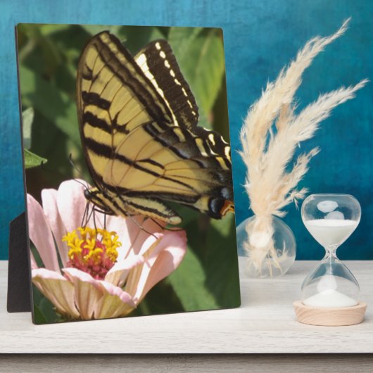 Schmetterling und Blume Fotoplatte (Seite)