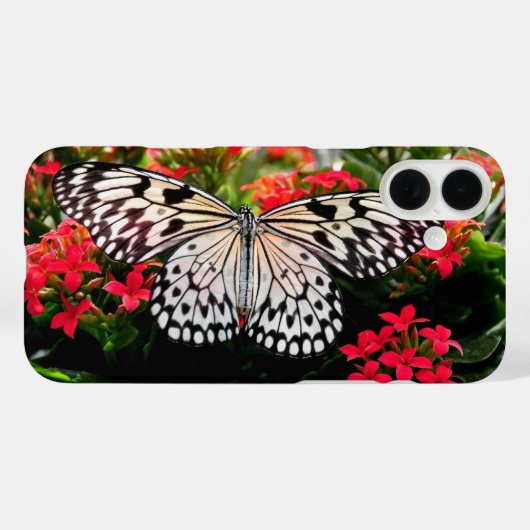 Schmetterling und Blume iPhone/iPad Gehäuse Case-Mate iPhone Hülle (Rückseite (Horizontal))