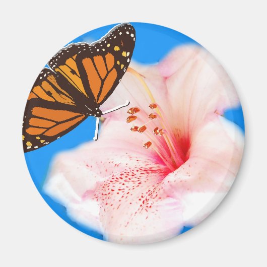Schmetterling und Blume Magnet (Vorne)