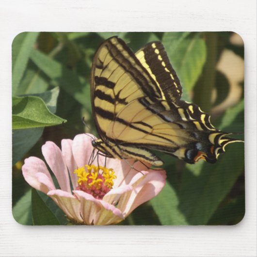 Schmetterling und Blume Mousepad (Vorne)