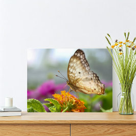 Schmetterling und Blume Nah-up-Foto Fotodruck