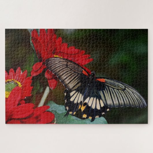 Schmetterling und Blume Puzzle (Horizontal)