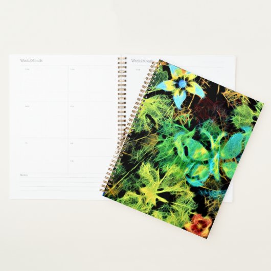 Schmetterling und Blume Rodilius Planer (Anzeige)