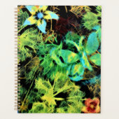 Schmetterling und Blume Rodilius Planer (Vorderseite)