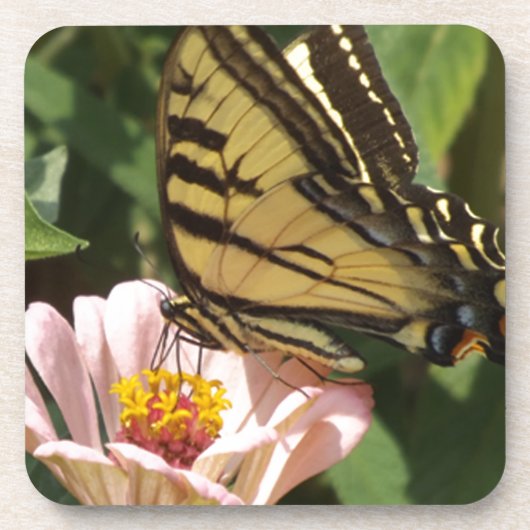 Schmetterling und Blume Untersetzer (Vorderseite)