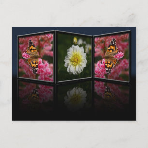 Schmetterling und Dahlia Postkarte