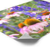 Schmetterling und Daisies Poster (Ecke)
