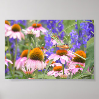 Schmetterling und Daisies Poster