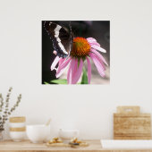 Schmetterling und Echinecea 68 Poster (Küche)