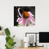 Schmetterling und Echinecea 68 Poster (Heimbüro)