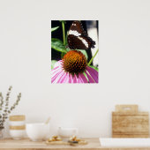 Schmetterling und Echinecea 92 Poster (Küche)