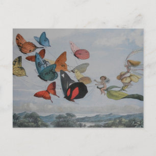 Schmetterling und Feenkönigin Schmetterlinge Feen Postkarte