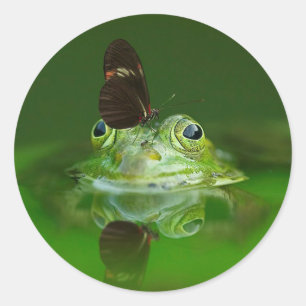 Schmetterling und Frosch Runder Aufkleber
